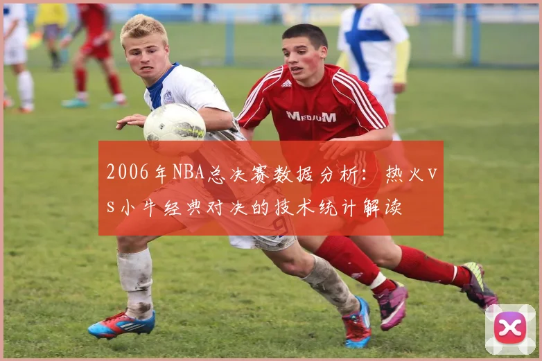 2006年NBA总决赛数据分析:热火vs小牛经典对决的技术统计解读